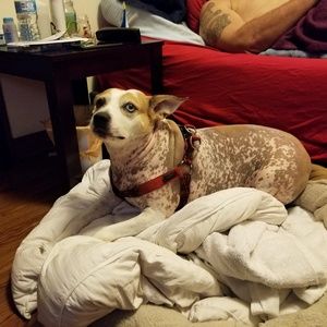 Meet your Posher, Deborah